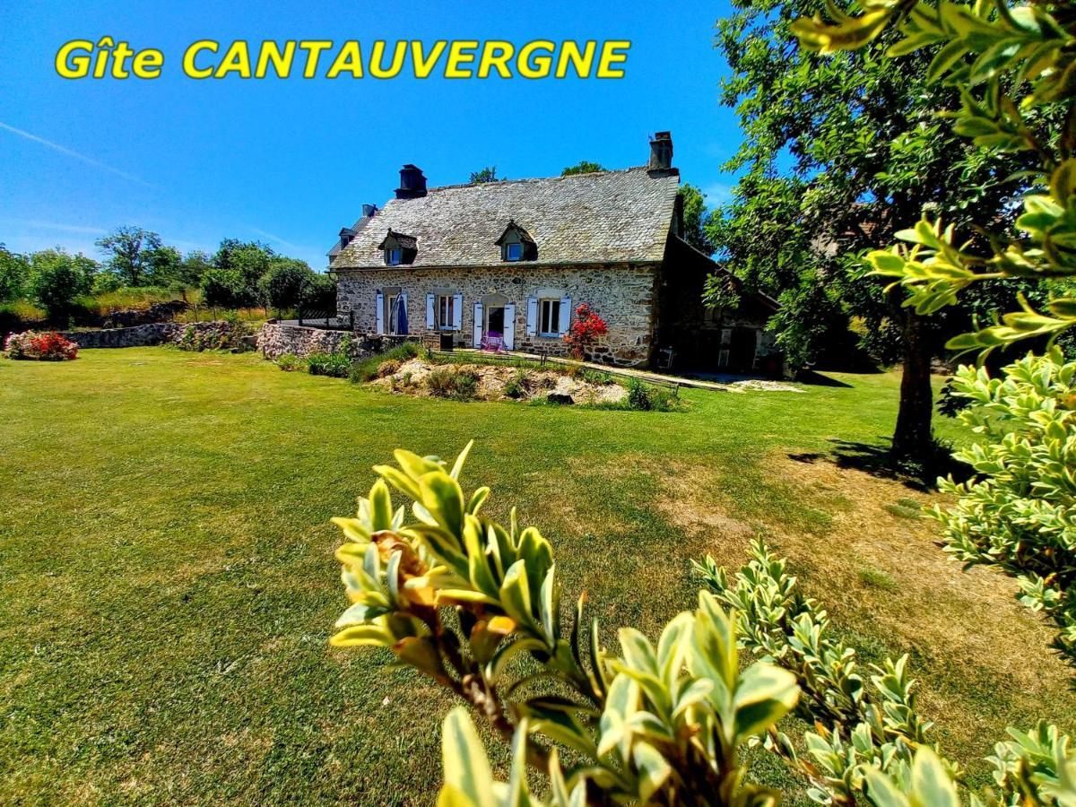 Villa Gite Cantauvergne Vebret Exterior foto
