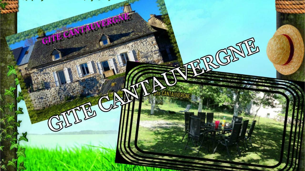 Villa Gite Cantauvergne Vebret Exterior foto