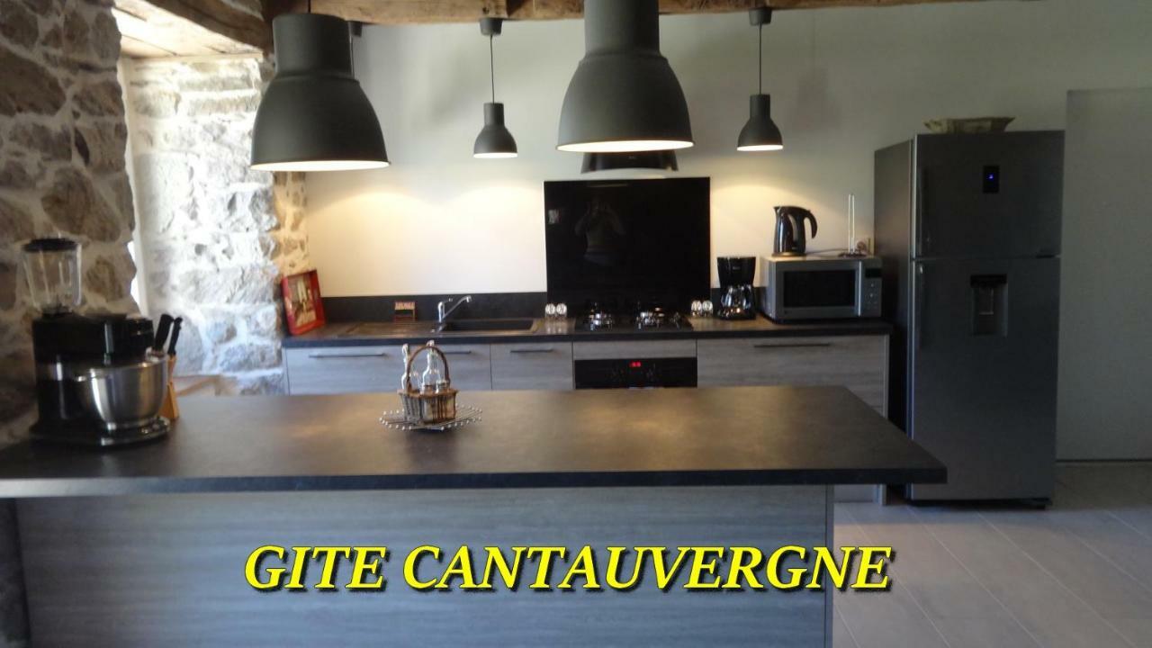 Villa Gite Cantauvergne Vebret Exterior foto