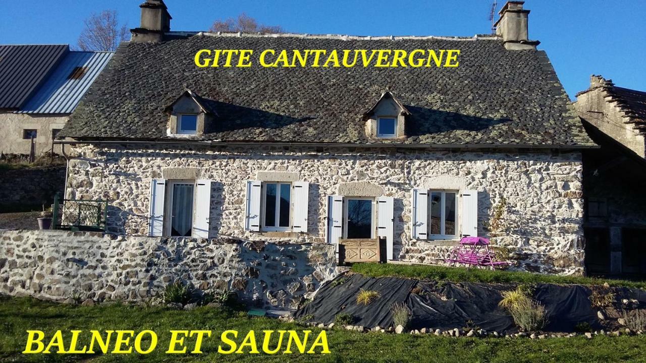 Villa Gite Cantauvergne Vebret Exterior foto