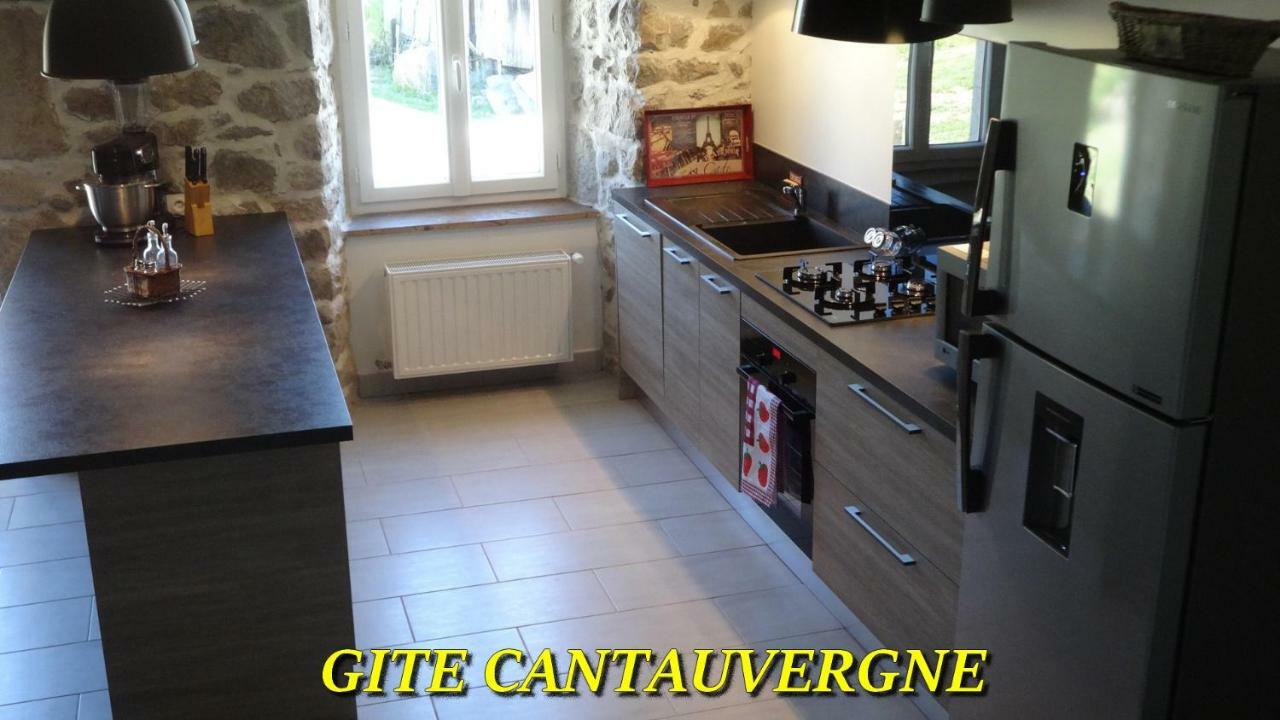 Villa Gite Cantauvergne Vebret Exterior foto