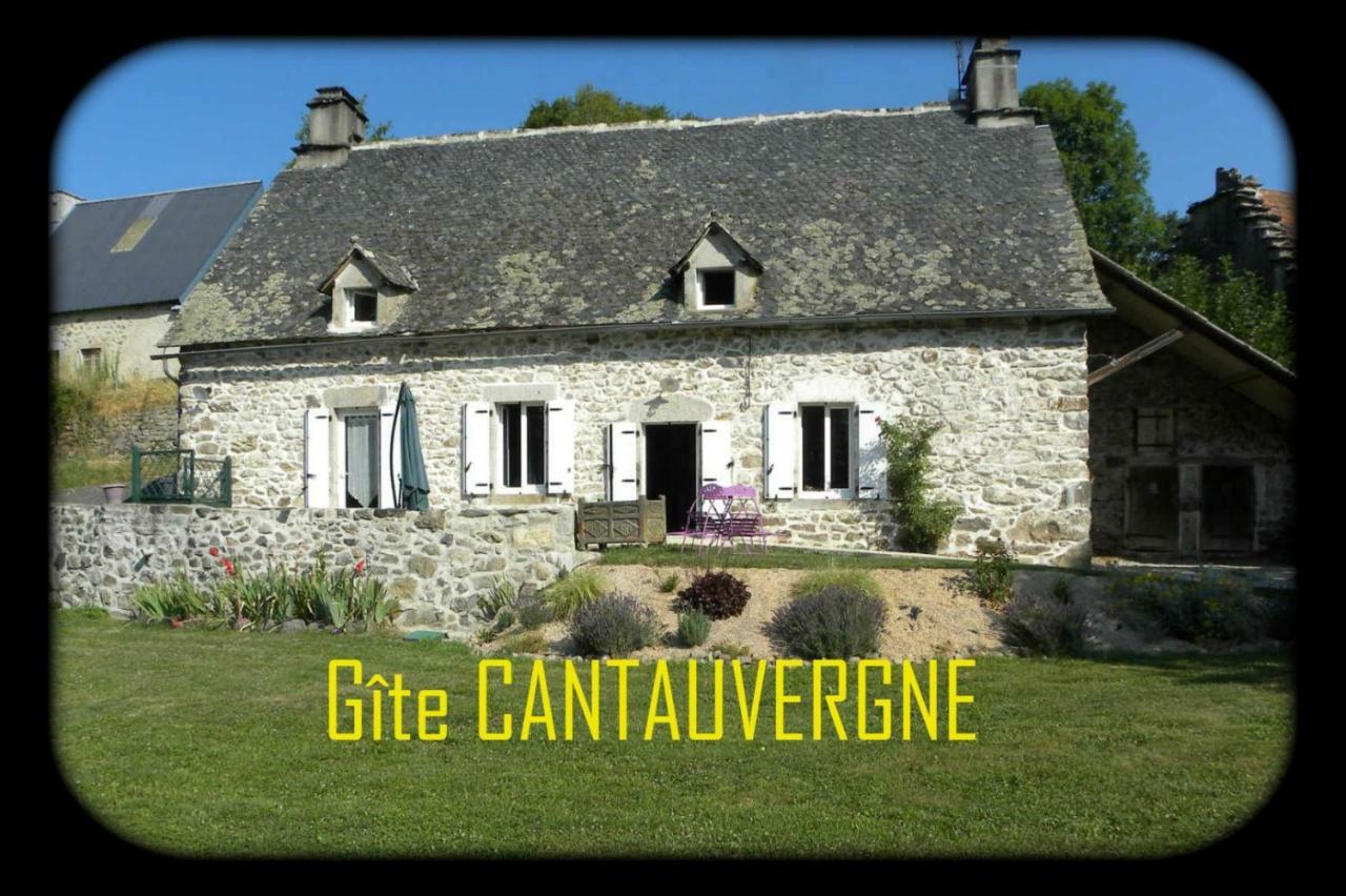 Villa Gite Cantauvergne Vebret Exterior foto