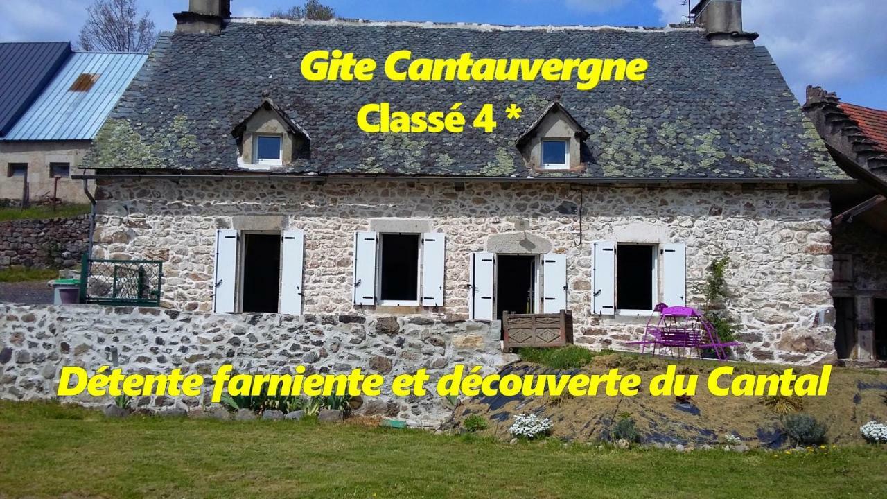 Villa Gite Cantauvergne Vebret Exterior foto