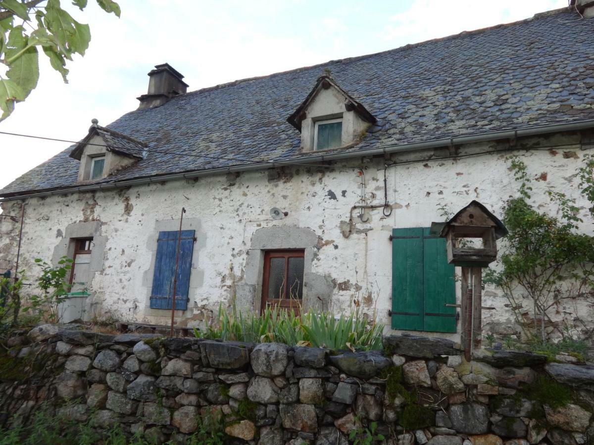 Villa Gite Cantauvergne Vebret Exterior foto