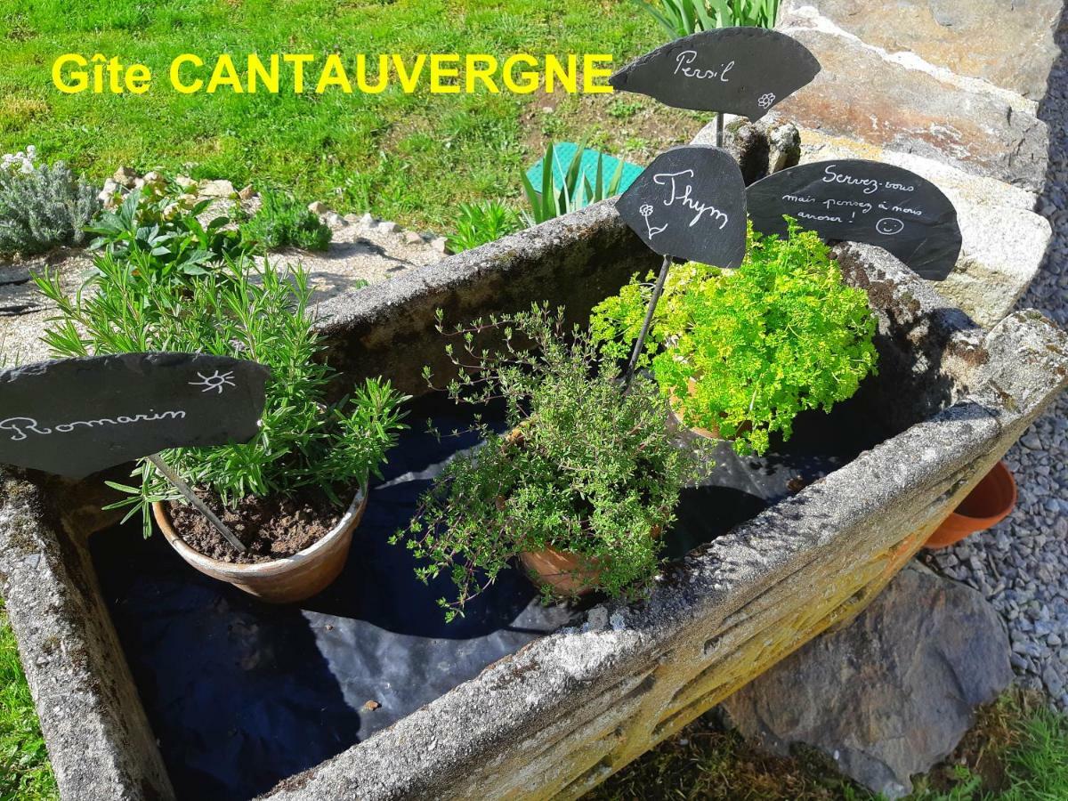 Villa Gite Cantauvergne Vebret Exterior foto
